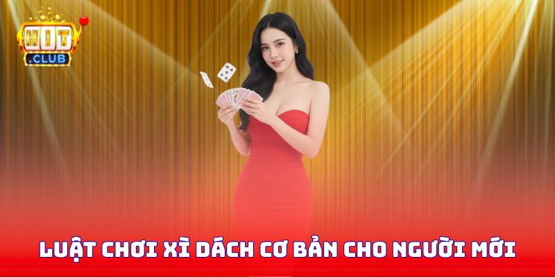 Luật chơi xì dách cơ bản cho người mới